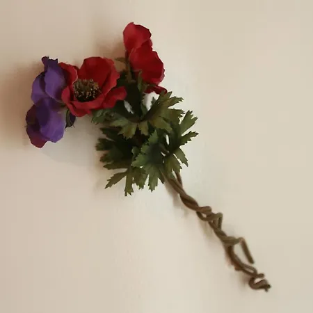 Bed & Breakfast Noble House Galata 3*