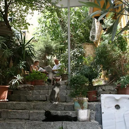 Alojamento de Acomodação e Pequeno-almoço Noble House Galata Istambul